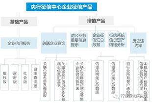 征信行業深度研究報告 企業管理咨詢服務的戰略價值與發展路徑