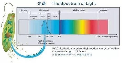 超活氧殺菌 超越紫外線燈的新一代消毒技術(shù)